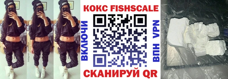 Cocaine FishScale mega tor Петровск