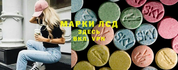 спиды Новозыбков