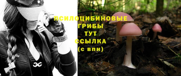 гашишное масло Новодвинск