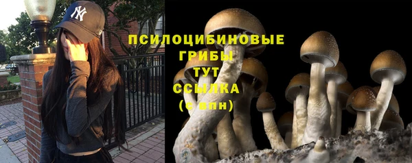 PSILOCYBIN Володарск