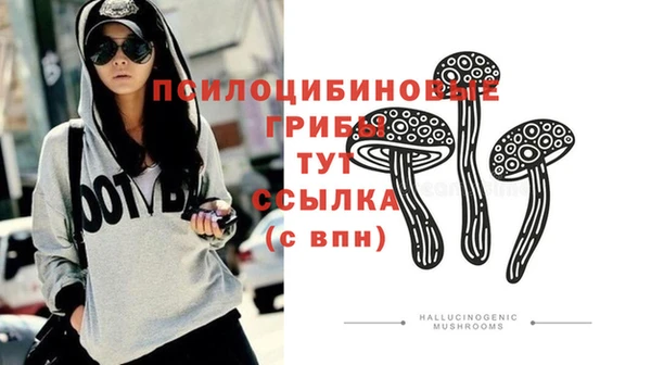 спиды Новозыбков