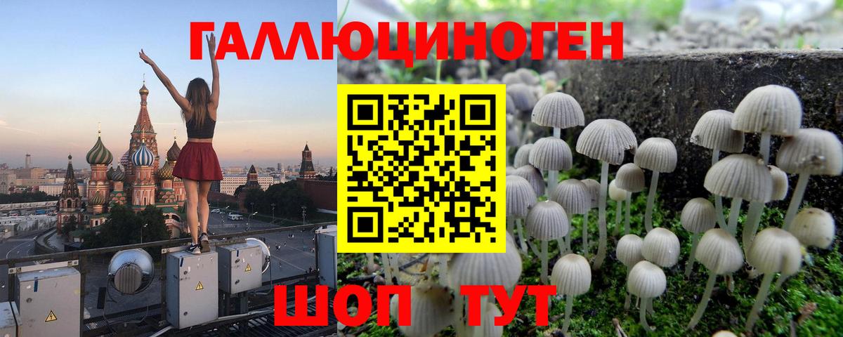 Галлюциногенные грибы MAGIC MUSHROOMS  Вход с VPN  Петровск 