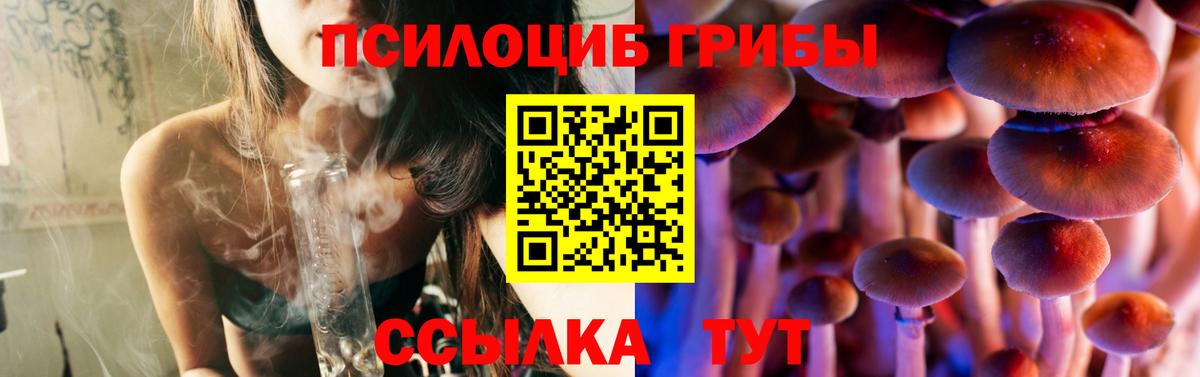 Псилоцибиновые грибы прущие грибы  Петровск 